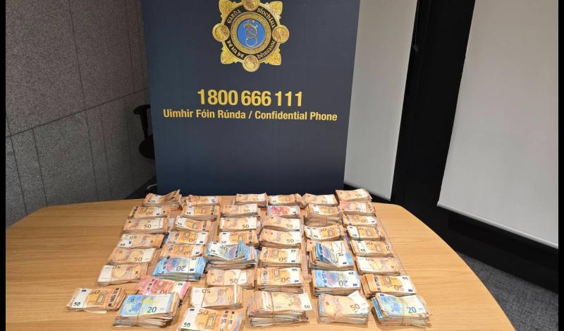 Garda raid links rural Leitrim to billion-dollar laundering network