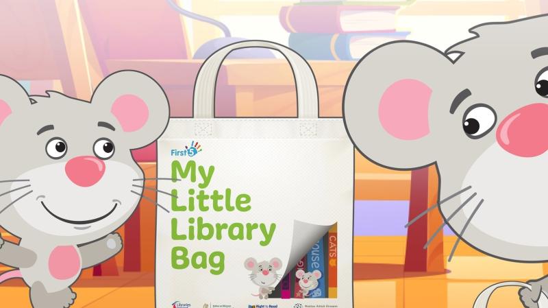 Over 2,000 children have benefitted from the Little Library initiative in Donegal