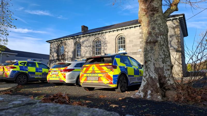 Limerick woman engaged in harassment campaign against garda sergeant following collision