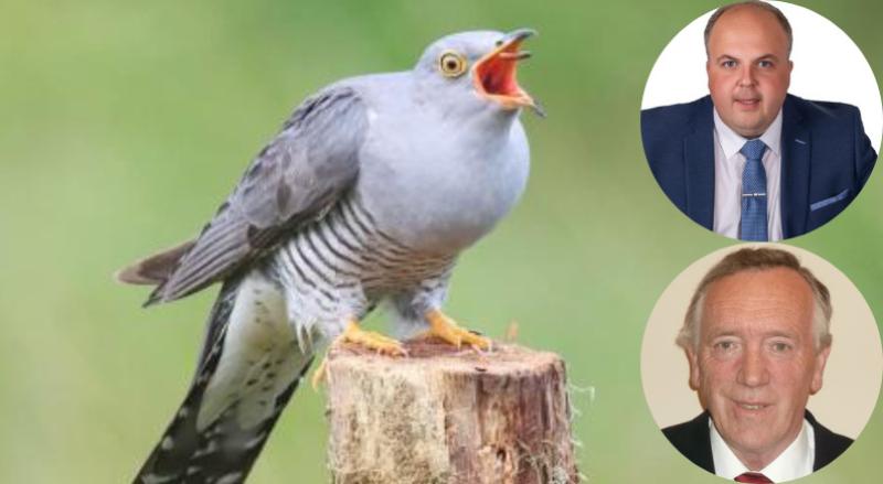 'More thought of the cuckoo than the people' - Anger in Limerick over planning guidelines