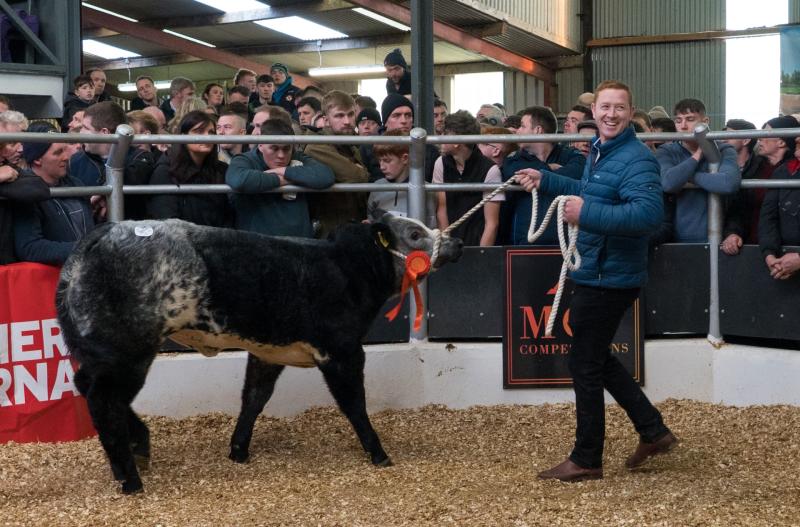 Leitrim winter fair smashes records as heifers hit five figures