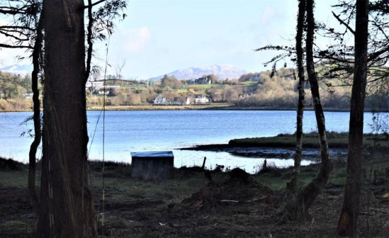 Plans submitted for Rossylongan forest pre-school with natural world 'connection'