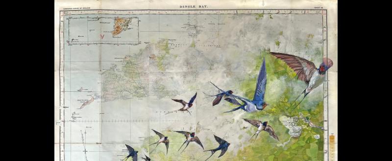 New contemporary art space is about to be launched in Tipperary