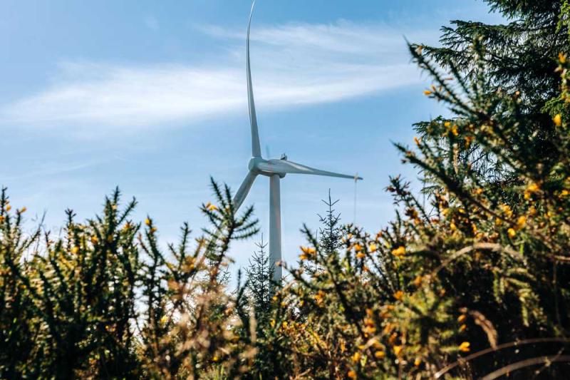 ‘Community deserves to have their voice heard’: Kilkenny TD calls for public meeting on wind farm