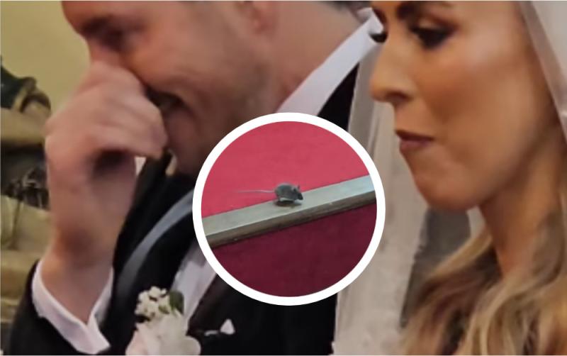 WATCH: Louth photographer's video of mouse on altar at Irish wedding goes viral