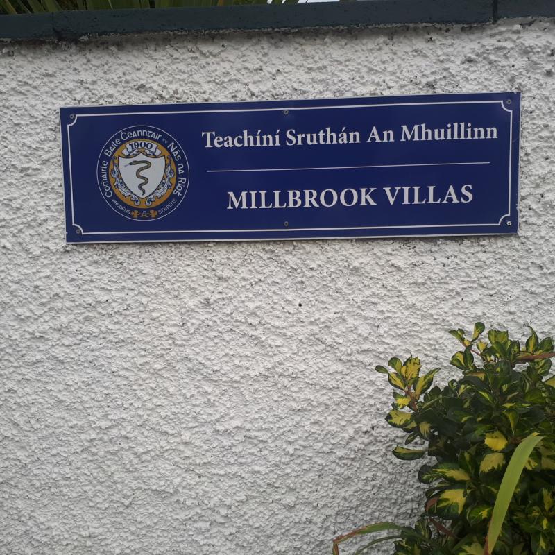 Only minor work needs to be done on huge Kildare trees