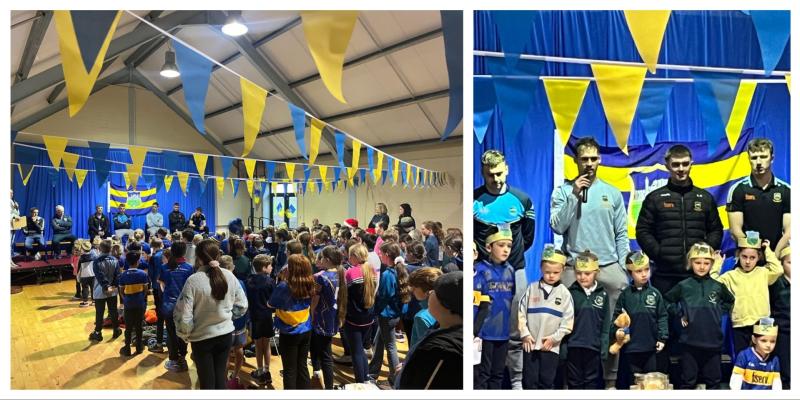 IN PICTURES: All-Ireland hurling stars visit Portroe National School to meet young pupils
