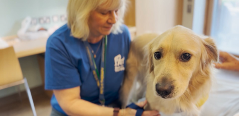 Northern Trust patients benefit from 'Pets as Therapy' scheme