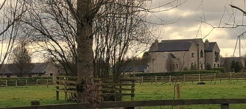 Bankrupted Laois Offaly former politician to convert stables into tourism accommodation