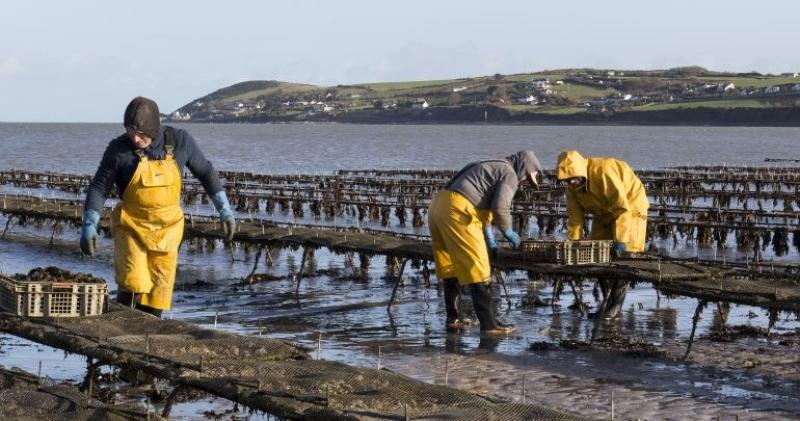 ‘World class’ - Popular Waterford enterprise celebrates 35 years in business