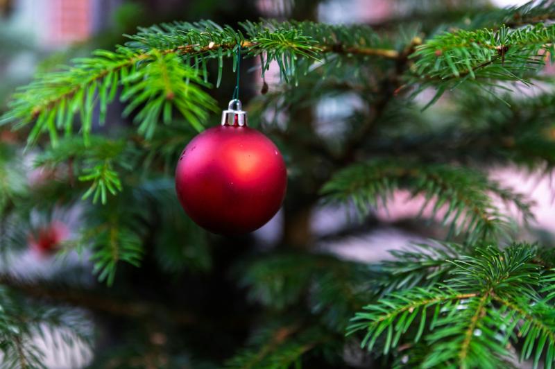 Christmas tree recycling service for Dundalk residents 