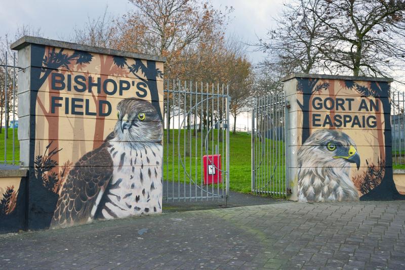 Derry's Bishop’s Field brightened with stunning new wildlife artworks