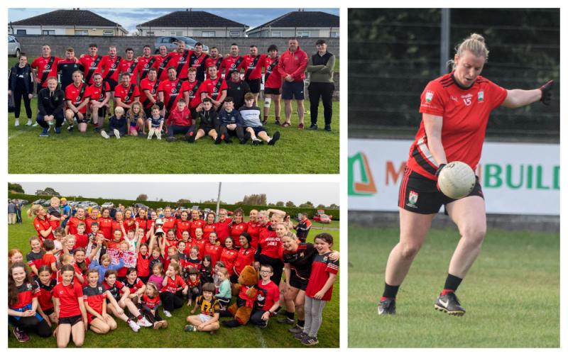 Laois GAA club seeks permission for new walking track and spectator fence