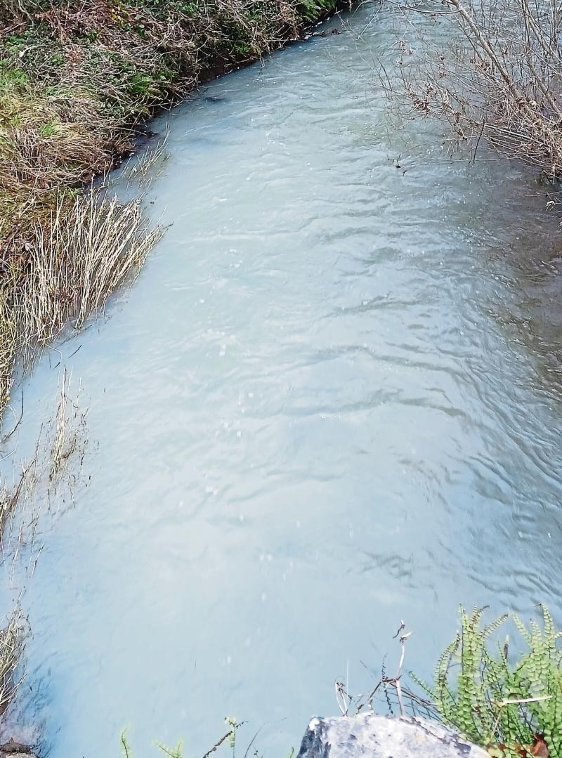Limerick angling club left feeling 'demoralised' after another pollution incident in spawning river