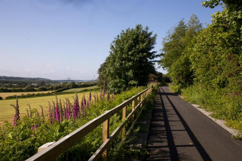 ‘Huge potential there’: Multiple Kilkenny greenway projects to progress in 2026