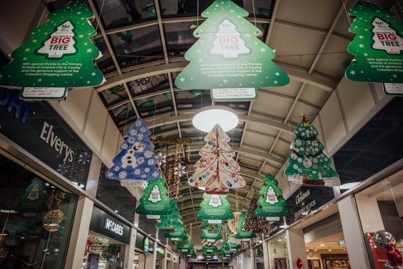 Schools across Limerick celebrate success in Team Limerick Cleanup tree competition