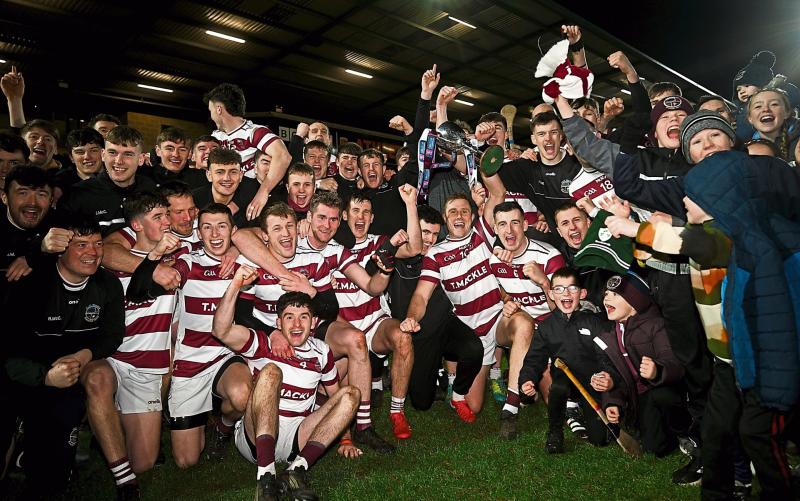 Investment needed for Ulster hurling's growth