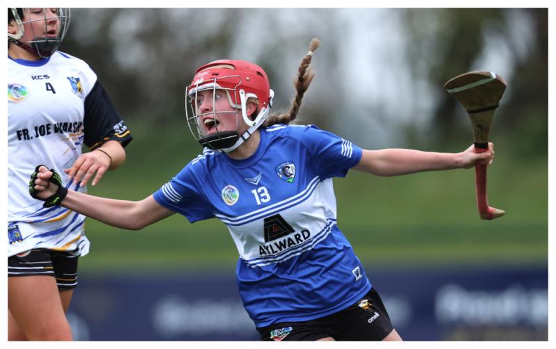 Camross Camogie's young gun Erin Walsh- 'I hope we can do it for the older girls now'