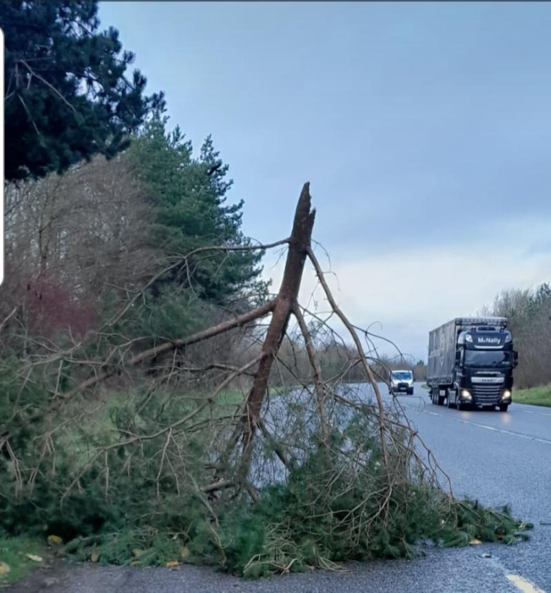 Council crews response to multiple Storm Bram incidents in Limerick