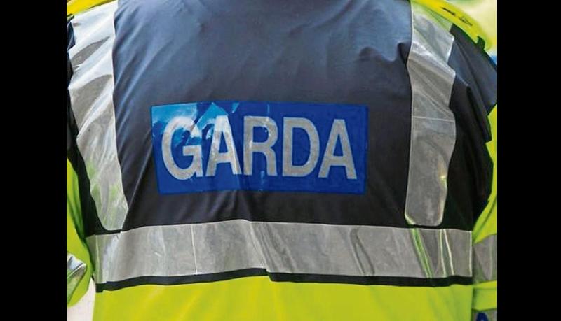 Gardai appeal for witnesses following thefts in Limerick city