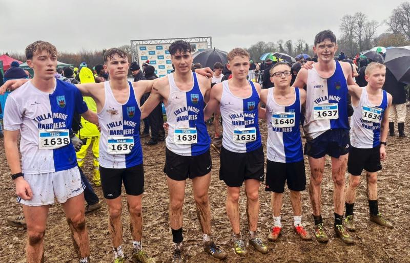 Tullamore Harriers strike gold in Abbotstown