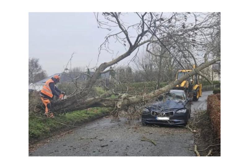 LIVE: Carlow driver has miraculous escape as tree falls on car during Storm Bram