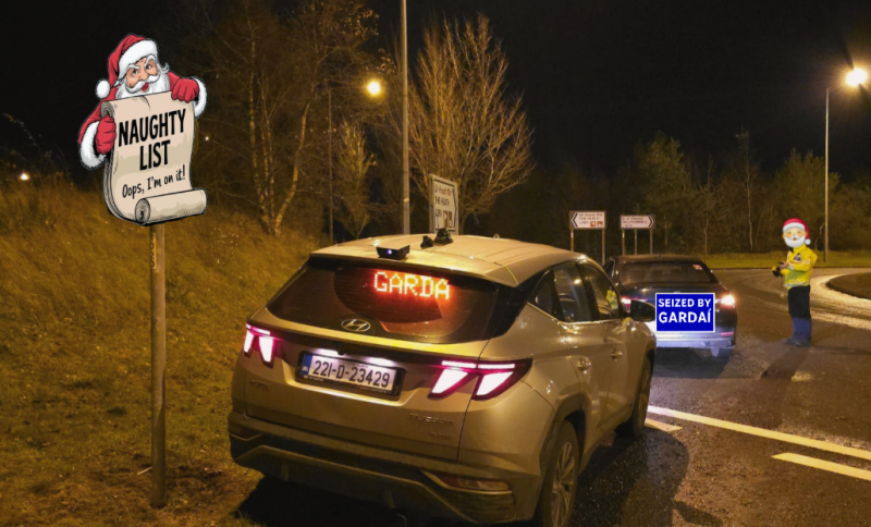 Driver makes the 'naughty list' in Laois