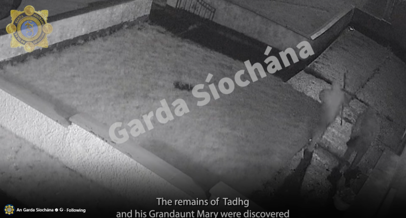Shocking video of deadly weekend arson attack shared as Laois Offaly Garda Chief issues appeal