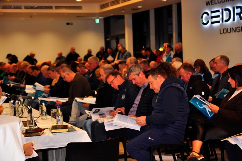 GALLERY: Photos from annual GAA convention at Cedral St Conleth's Park, Newbridge