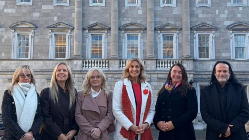 "A lifeline for many" - Louth to receive &euro;295k for domestic, sexual and gender-based violence