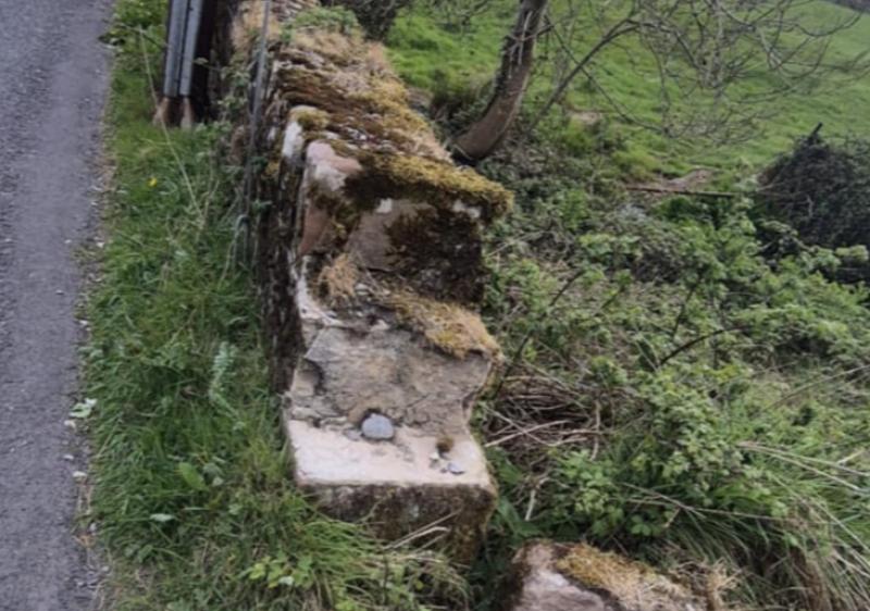 Safety concerns over Limerick bridge prompt engineer assessment request