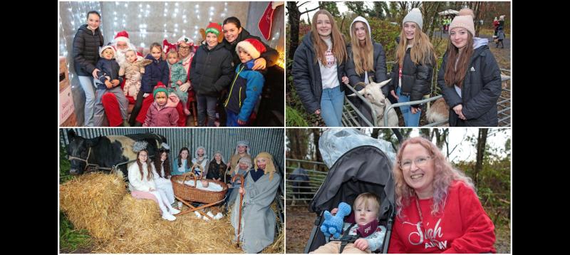 Ballinalee Forest Walk