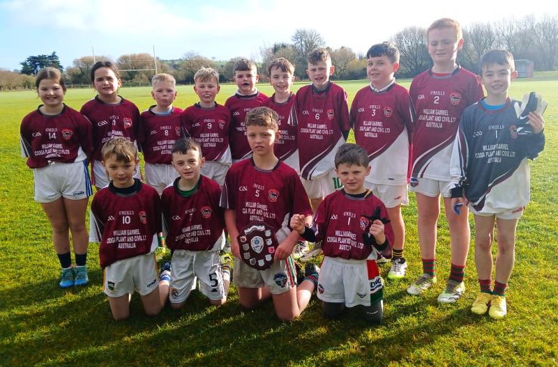 PICTURE: Celebrations as national school in Tipperary retains county title after recent win