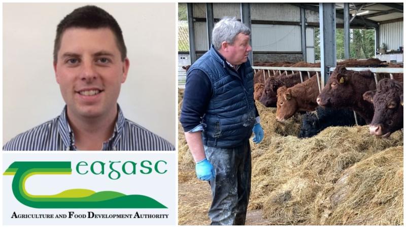 Longford Farming: Getting ready for the calving season