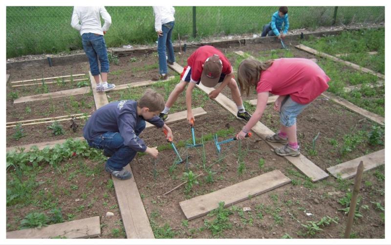 Thirteen Laois schools awarded funding for sustainability projects