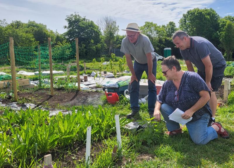 Muirhevnamor Community Gardens in Dundalk - more than just allotments