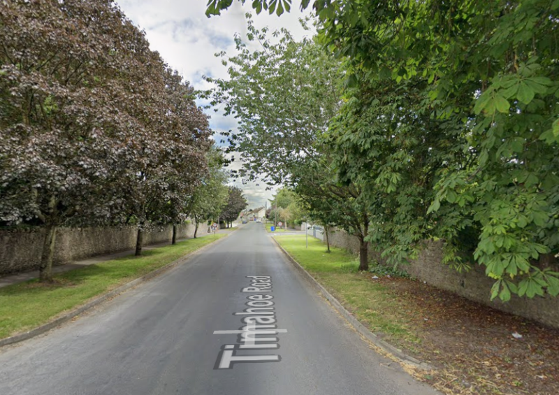 Call to extend 50kph  speed zone approach to Laois town