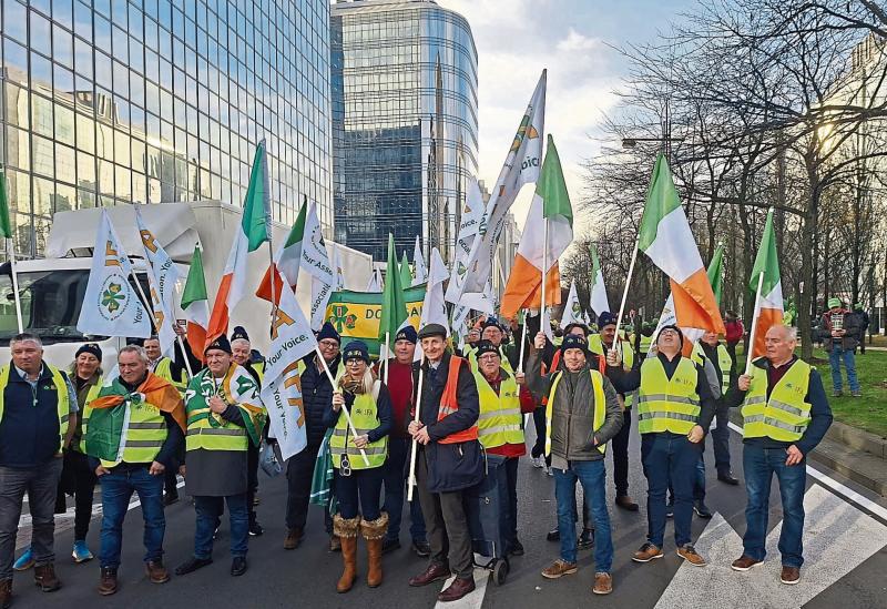 Limerick IFA flag waved proudly at huge farmer protest in Brussels