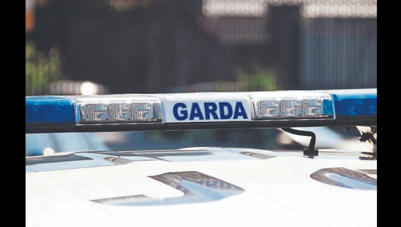 Garda&iacute; appeal for information following vehicle burglaries in County Limerick