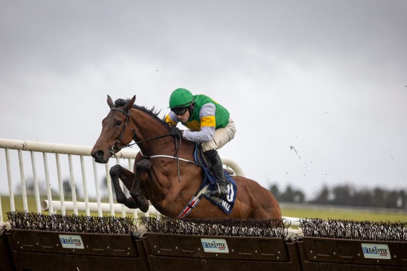 Gowran trainer enjoys winning week ahead of busy Christmas racing schedule