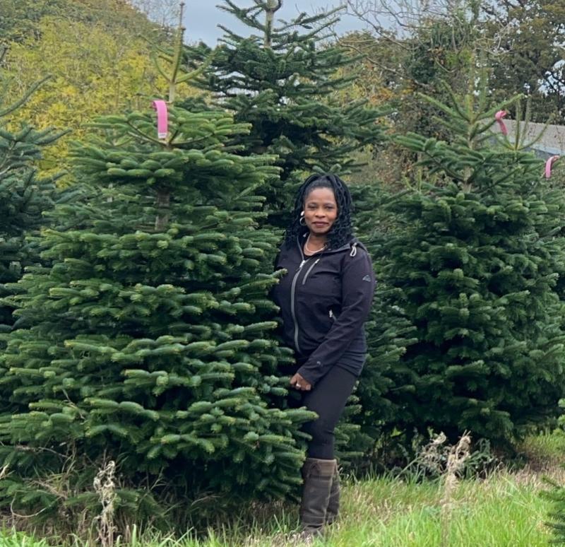 'Journey to the Job' From a career in banking and payroll to being a Christmas tree farmer