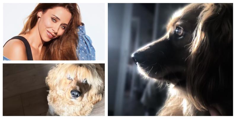Una Healy mourns the loss of beloved rescue dog Charlie just days before Christmas