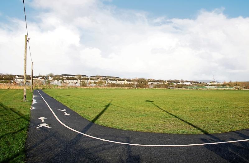 Strategy reveals Limerick park could accommodate 500 new homes