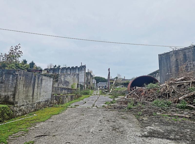 ' A hellhole': Disused Longford piggery has created hell for people who live in the area
