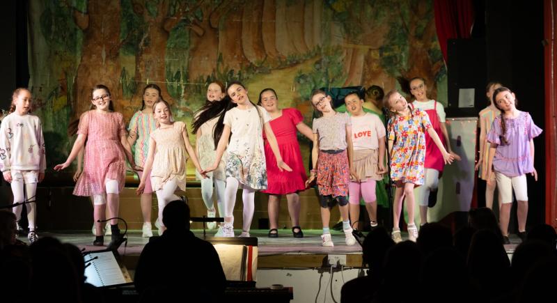 Ready to take to the stage? Beloved Laois panto on the hunt for new members