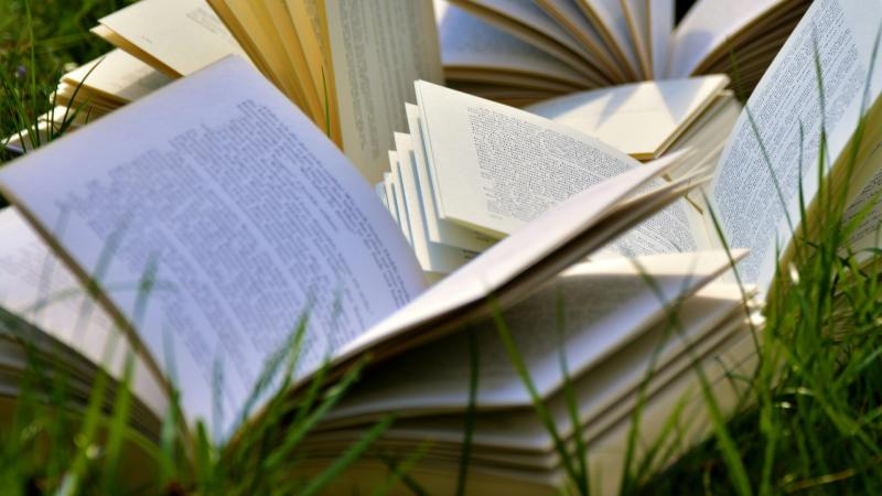 Fundraising book fair coming to Letterkenny Community Centre