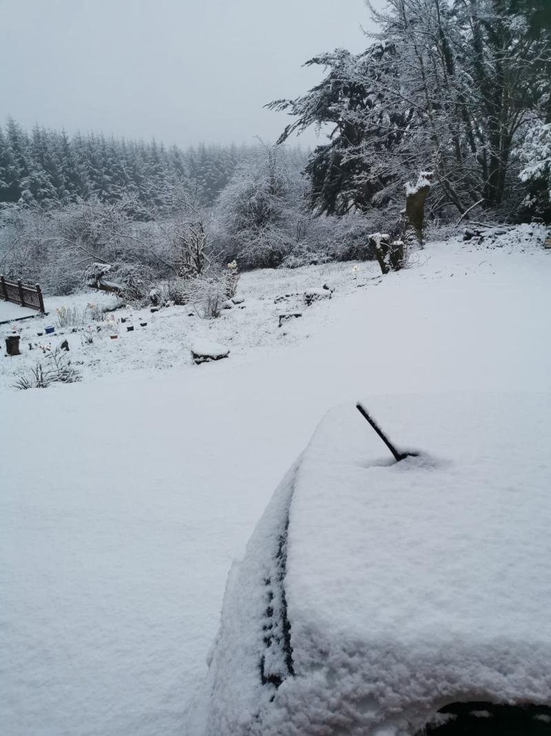 Snowy scene close to Limerick-Cork border as Status Yellow warning comes into force