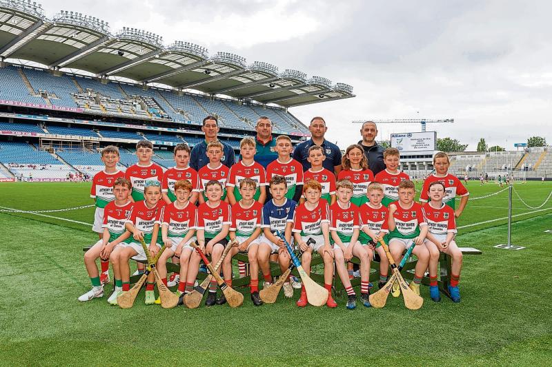 'Pride and relief' in Laois as GAA/LGFA clubs hits fundraising target