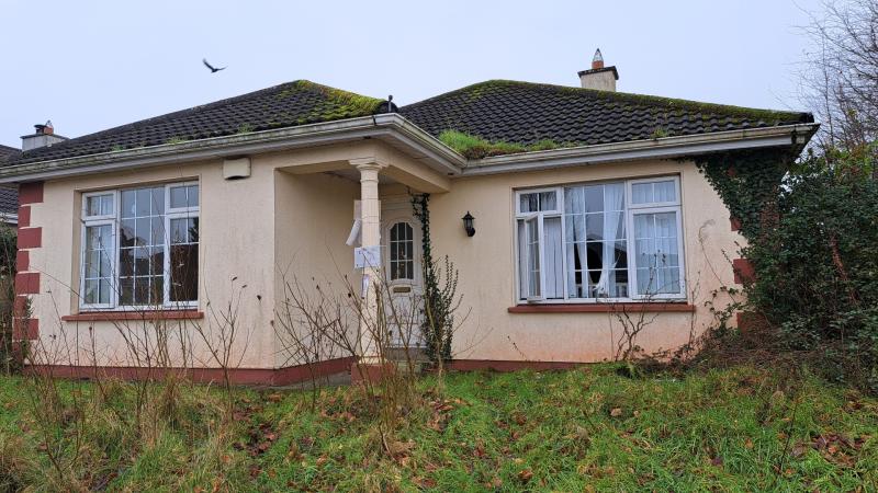 Compulsory purchase of vacant Laois homes 'making some headway'