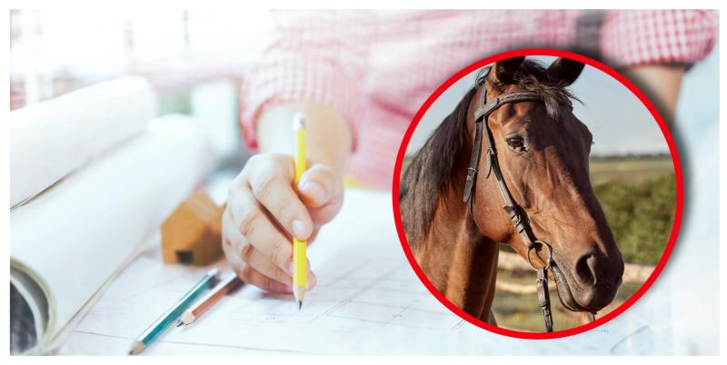 Planning permission sought for new laboratory building at Tipperary based equine hospital